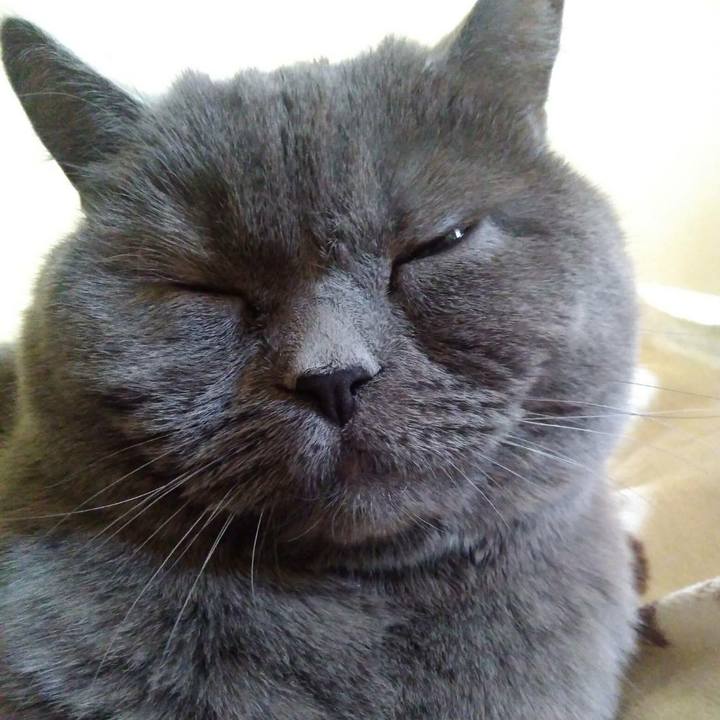 660ab5e4 3f5b 44f0 90c4 8d63dd71e559 1585399995465