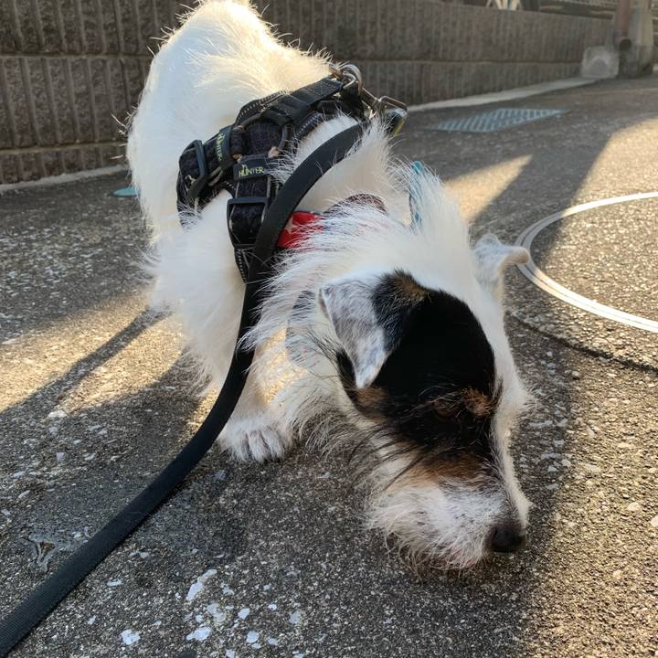 660ab810 4760 40b0 accd 03aa5579caf5 1689028889426