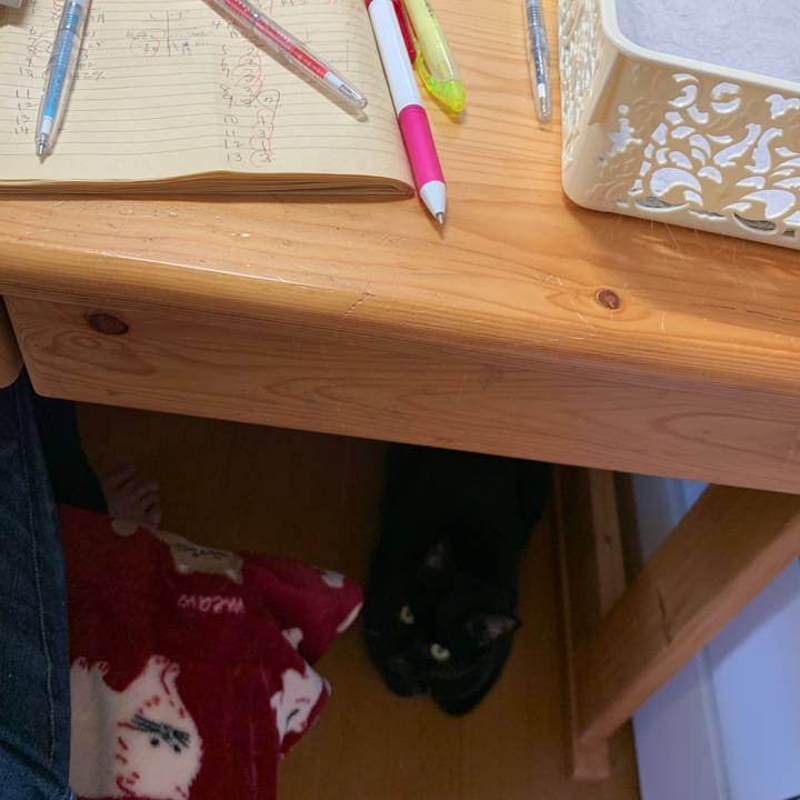 660aee02 9dd6 4f7f 9a6c 920ba884d4b0 1652597801430