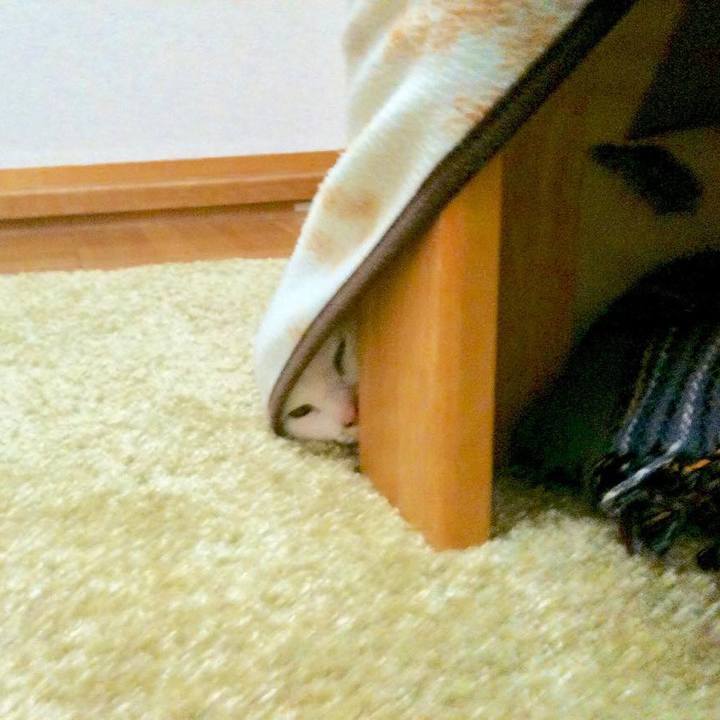 660b398f 2760 4252 83d3 1a8a6cb32a39 1550495922434