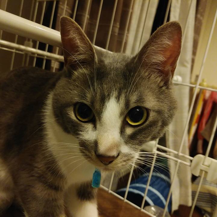 660b5ce4 ca9f 446f 9b1d af111b87fef7 1593441101430