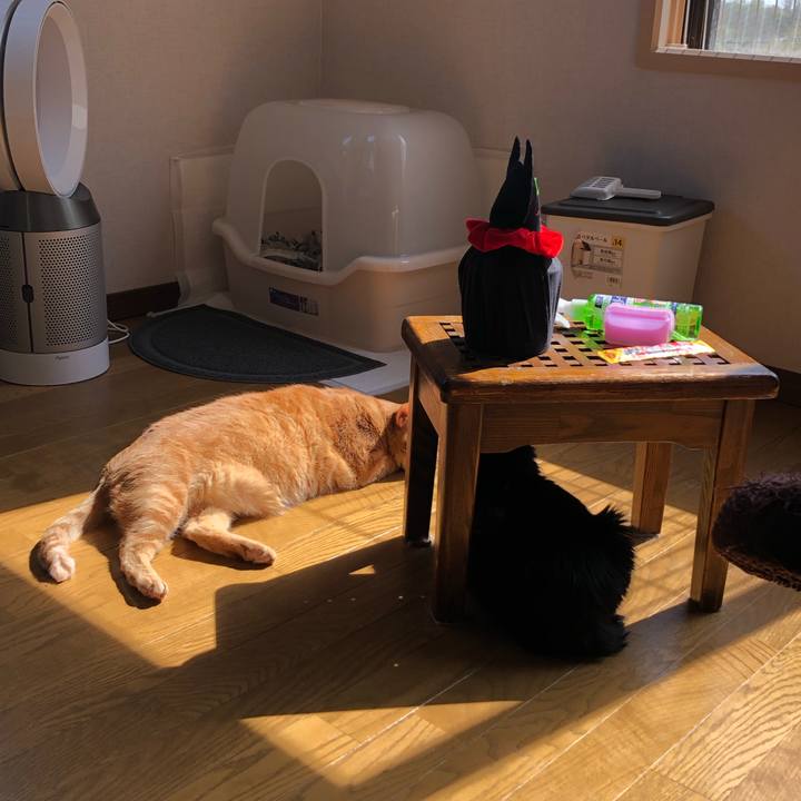 660b62d5 a353 4a91 8474 21988b86dbaf 1590277219056