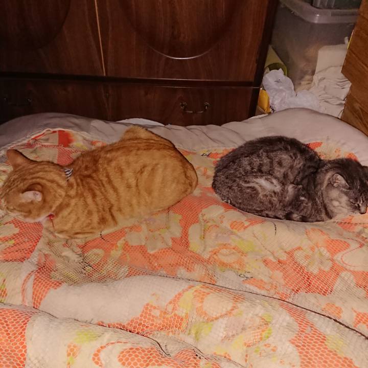 660b7019 0a94 4c94 a5bb 77ccd973e24f 1571417456439