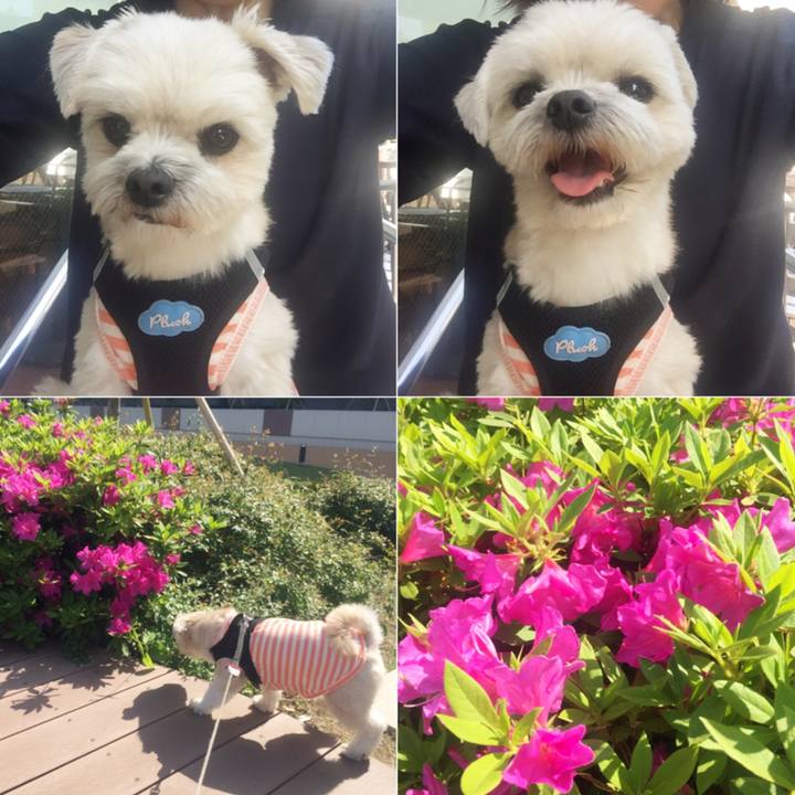 660b9e72 d5ff 4169 acfc 59749a55eaeb 1524301377637