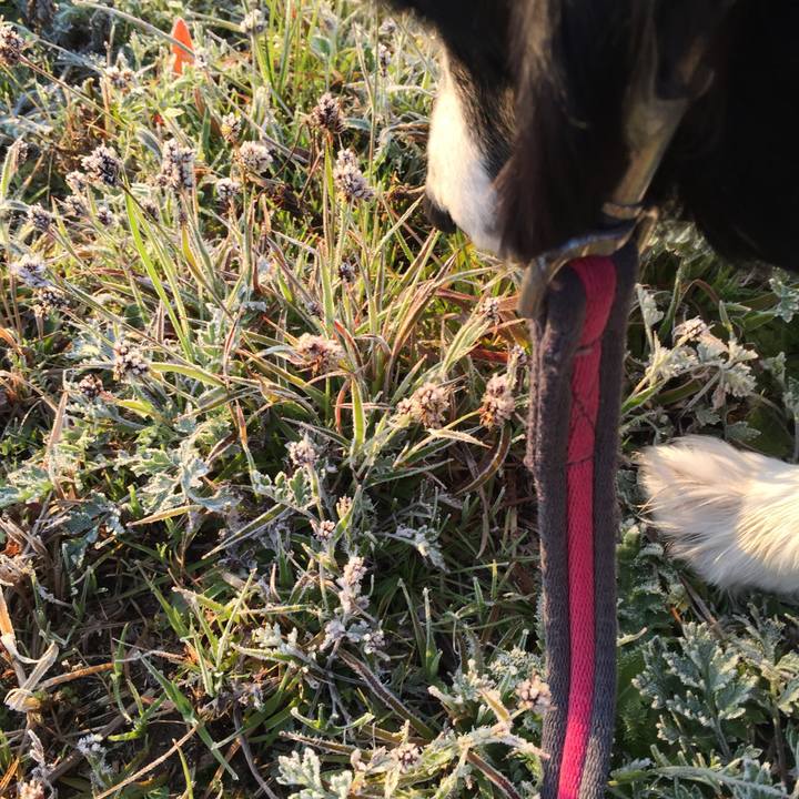 660bad34 c241 4720 a223 22b9033c1fc1 1552605548190