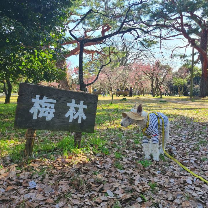 660bb2b2 fbb6 473c 957f 0619b7dc18d9 1708769774108