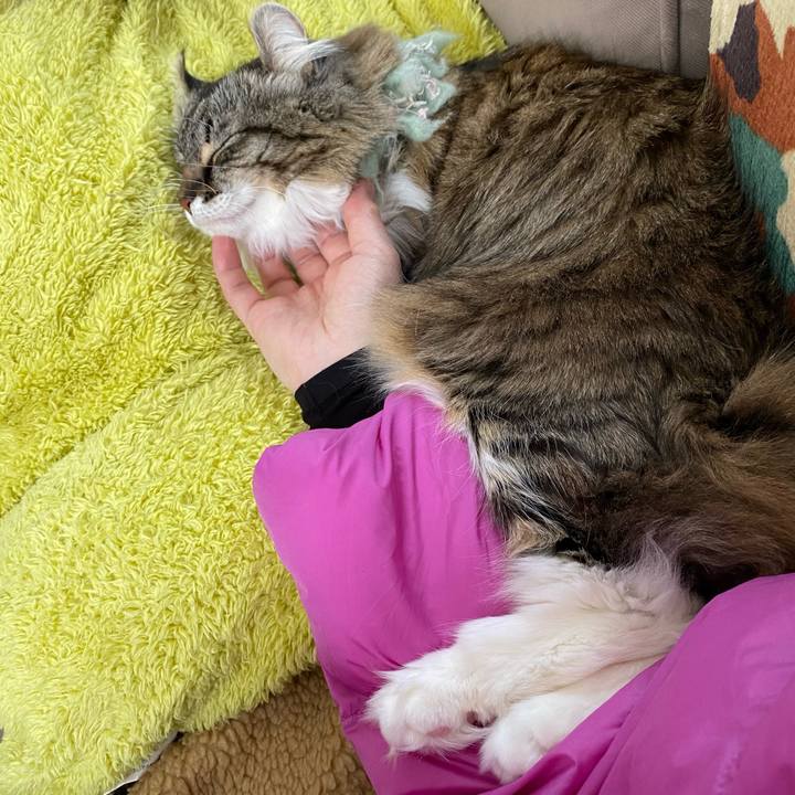 660bb816 4f71 4894 8c4d 111d14cab451 1614320072465