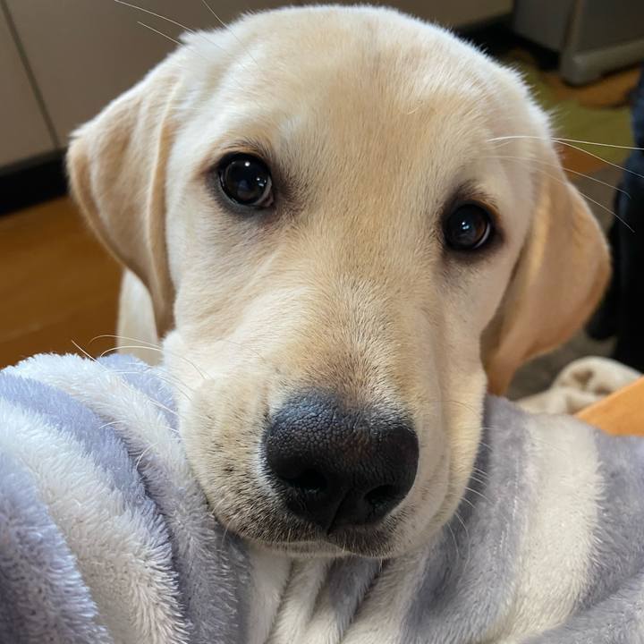 660bc021 6fc6 4080 a907 746072731c89 1614311587907