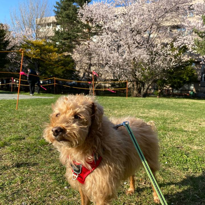 660bc666 d9d5 4919 ac86 3643896f7729 1682592734863