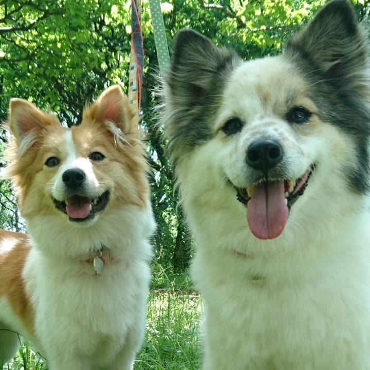 660bfba1 a554 49a8 9f44 50f7ef6489ec 1652350176465