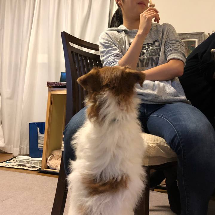 660c17b5 44c1 4d3f a8a4 3829294d4711 1572737268055