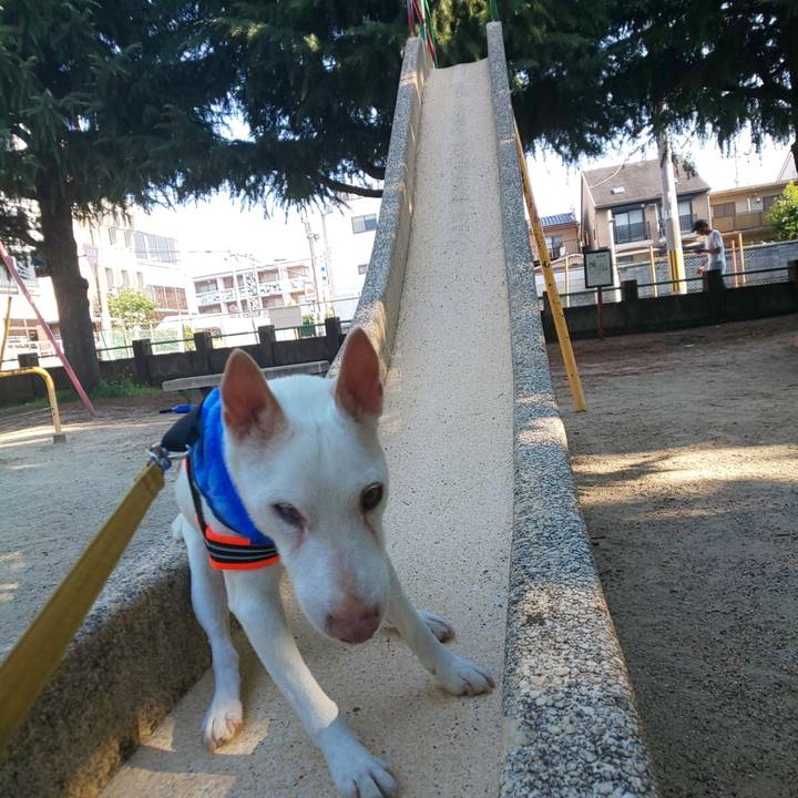 660c2614 e94b 4821 8be4 33f9b6dd3fbb 1565482553492