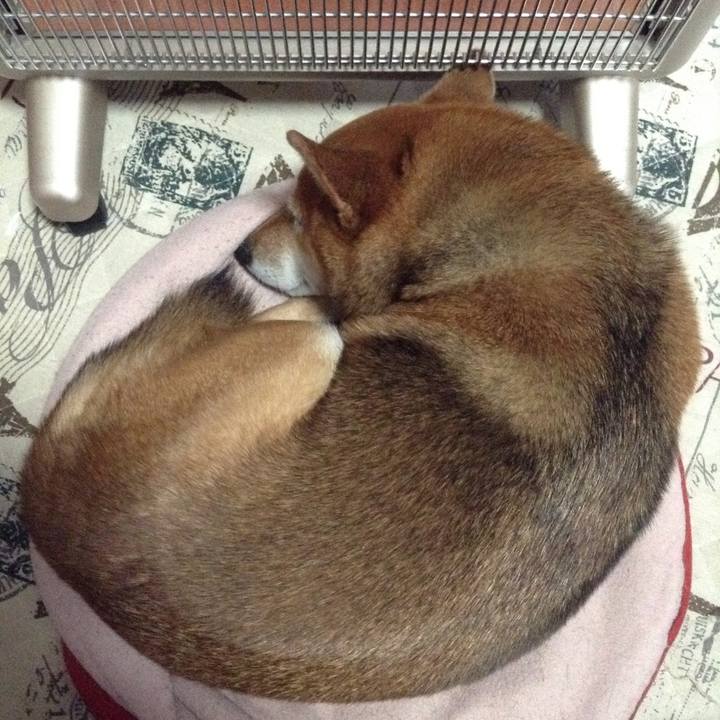 660c312f c331 4d29 b139 4fe2159a2785 1511132351982