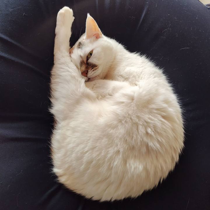 660c3342 2ba4 421d 9839 53def621bebd 1772953047256