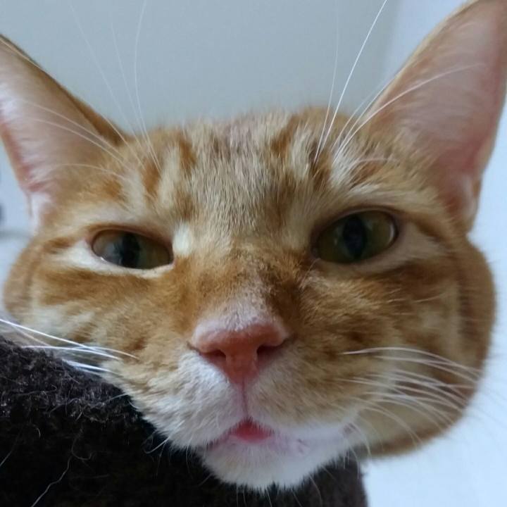 660c4524 9837 4480 a9dd 2d53db5d1d76 1558457050887