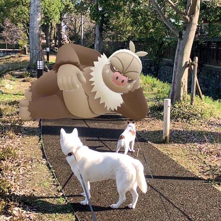 660c70f2 44e3 4bdc 9f21 d580b34e09d6 1553993523661