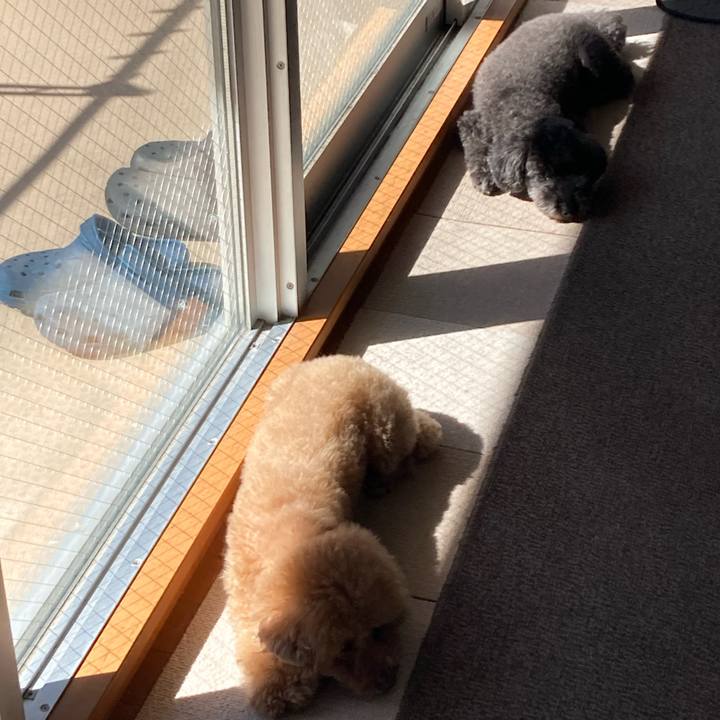 660c751c c66a 41bd a091 3b77d0c6e843 1698153721278