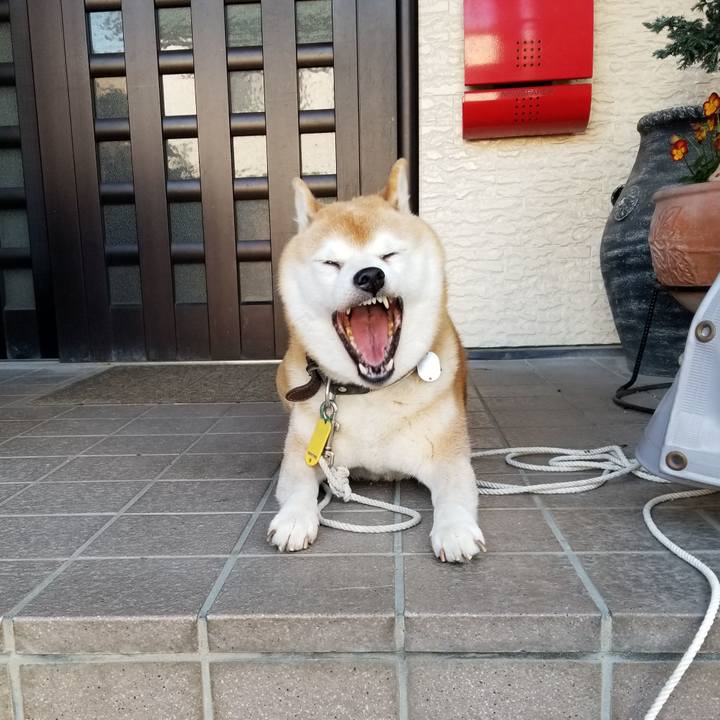 660cc978 9141 4099 b0c5 6c0c6585936f 1636332854368