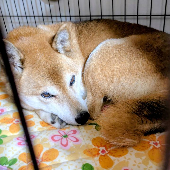 660d82d1 36b3 47a3 ad4e 6f8de7f68654 1767106950418