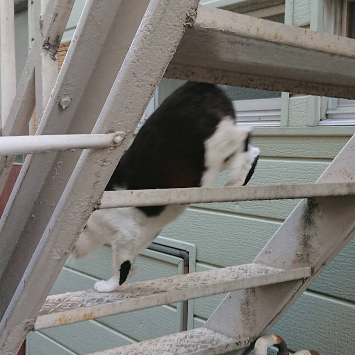 660e1d3d 7df9 48ad 9848 95b8af2f9afb 1540768664108