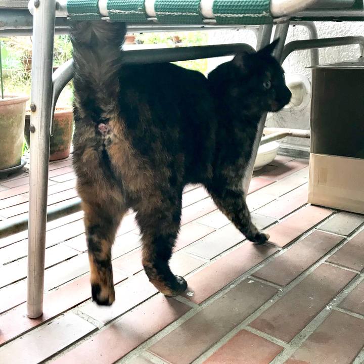 660e2353 d29f 4992 83c7 66d4c242b4df 1511332666858