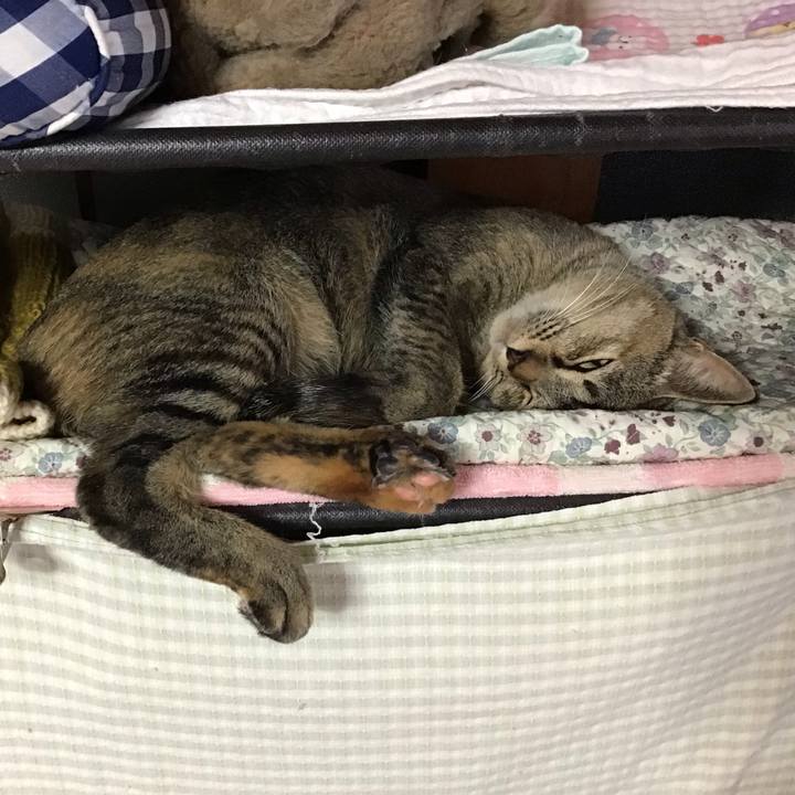 660e2e1f 9093 4774 a815 0fe390be344d 1577675032136