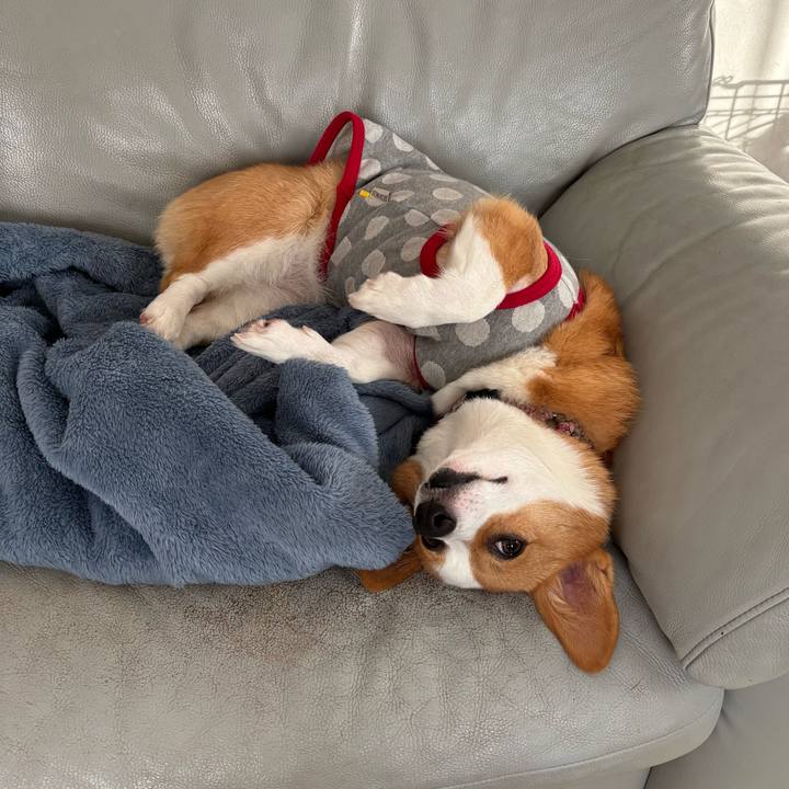 660e4438 daa4 4642 80c0 5fd14f33f215 1764742828565