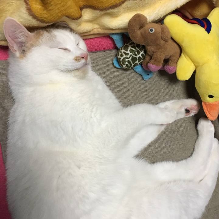 660e491b 3199 4d89 aeb8 7582fb5cff6c 1548767944936