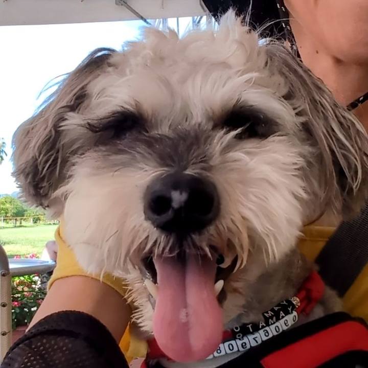 660e8411 f4d3 4ac7 acb0 eab4e831082e 1757917071133