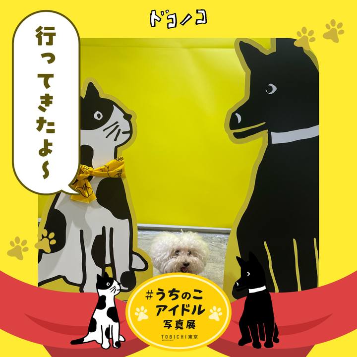 660e85fd c123 465c a767 2a2b92865ea1 1762054413574