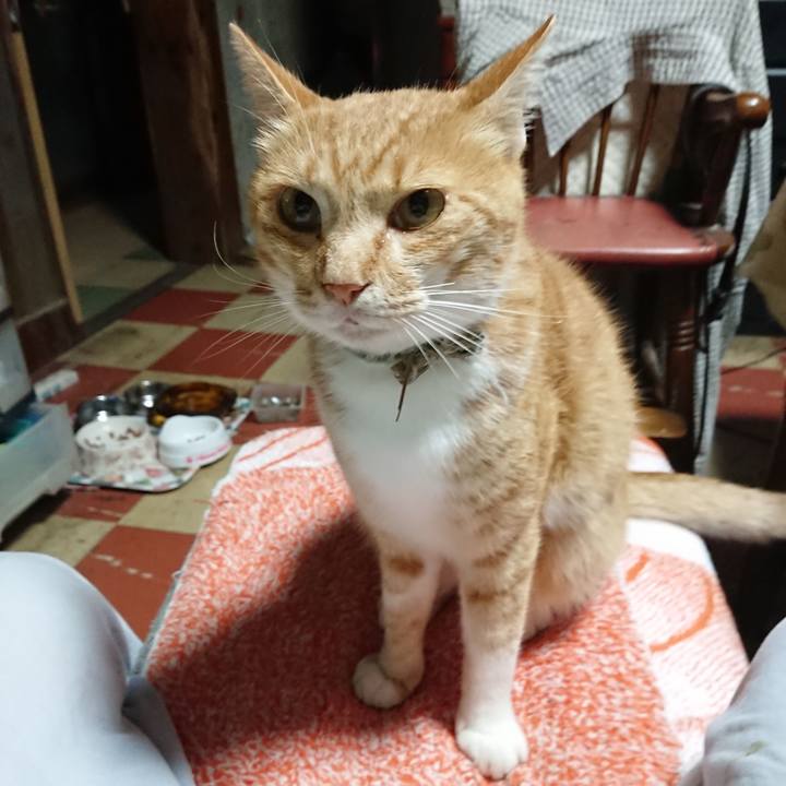 660e8789 5ba0 4c37 b53c 3f4de5c88a82 1596052985278