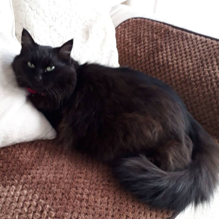 660ea5c9 0230 4459 8e13 0d7916991c67 1518478042313