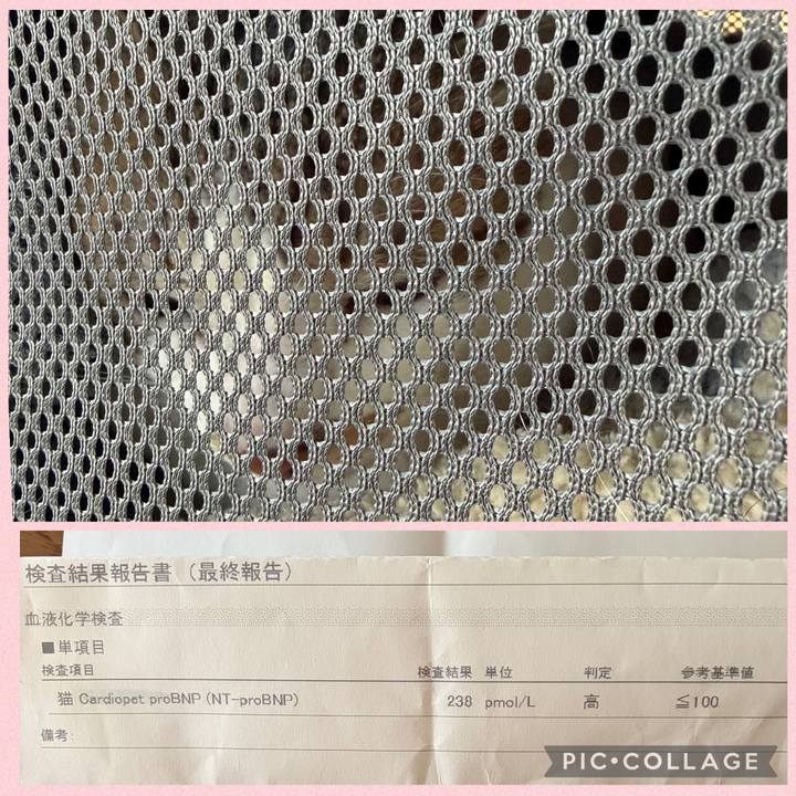 660ec41b 90f9 4bb7 9491 a27b66647d5c 1770610667846