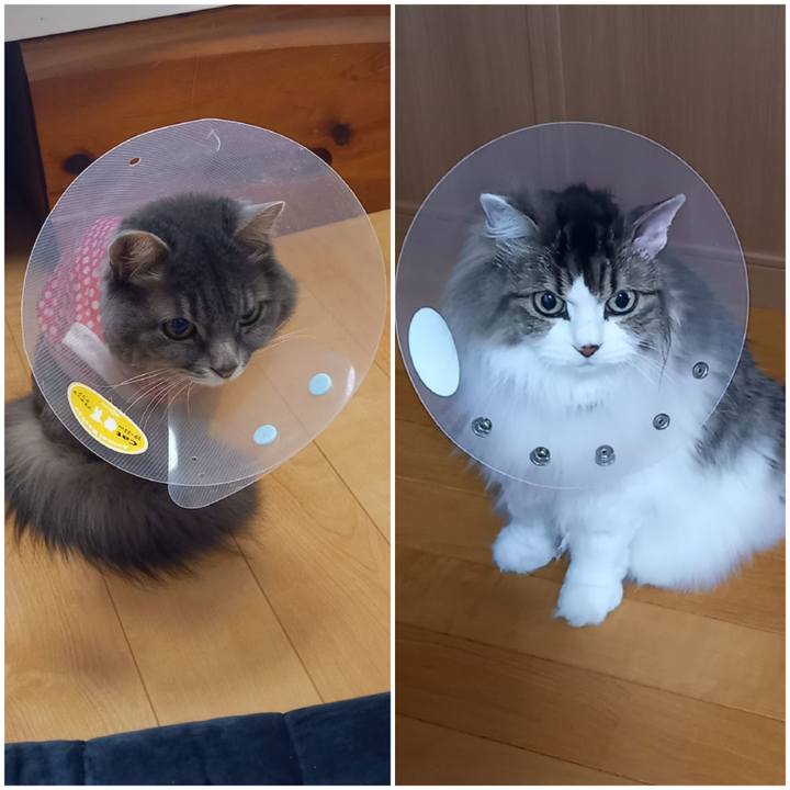 660ec54e cd09 48a9 8281 fefb4c555db0 1654251527894