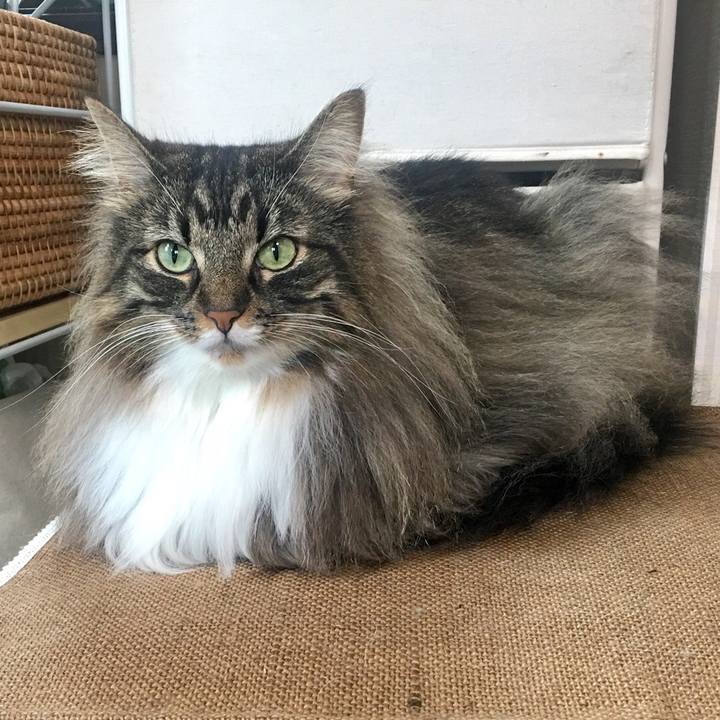 660ede14 7e7b 4eb7 bb71 130687e0d09f 1538315760112