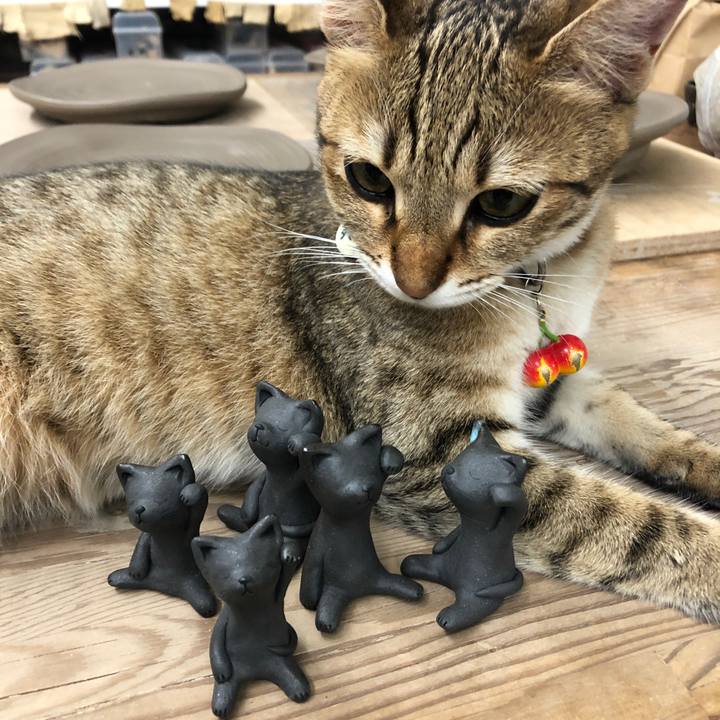 660f0832 6b2c 4462 8953 633b0f61ed4a 1592875873634