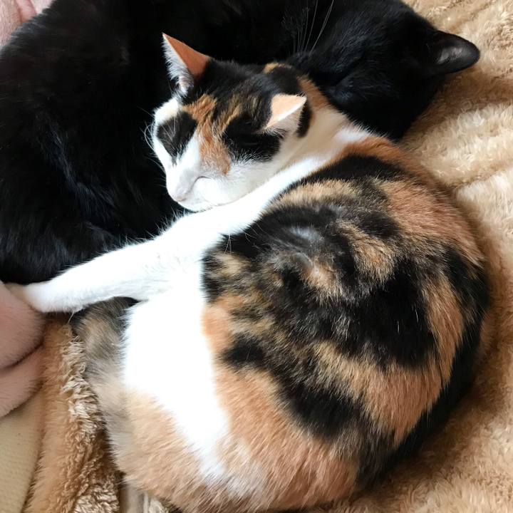 660f19b3 bbdb 492b 9bf7 c401253250af 1518139478690