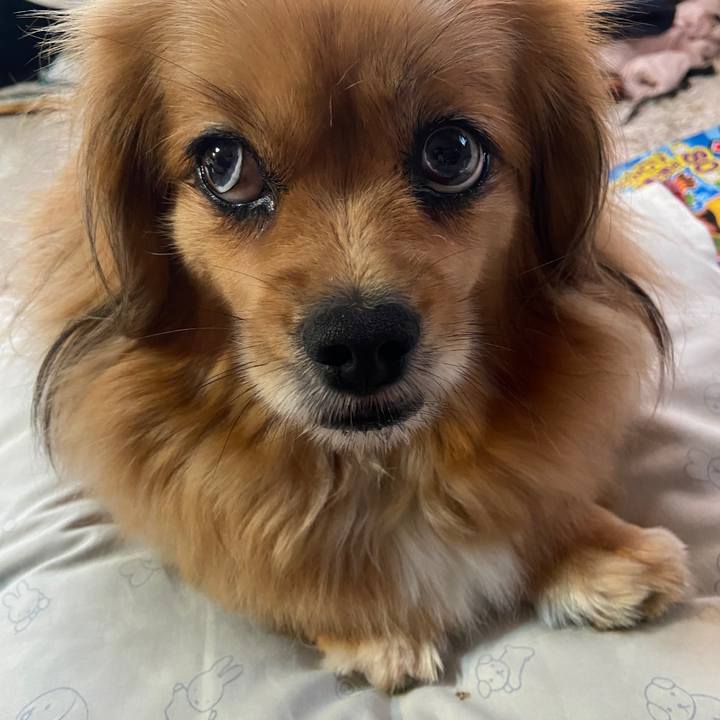 660f20b9 4f09 4553 853f 0e516a4ca336 1655329751311