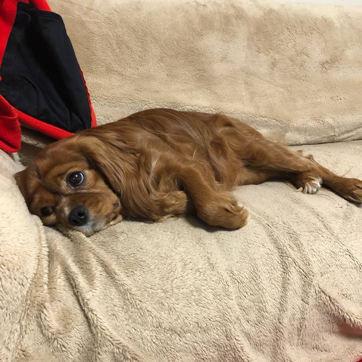 660f60c1 9eba 47c5 a836 d72b852ca1eb 1612438563243