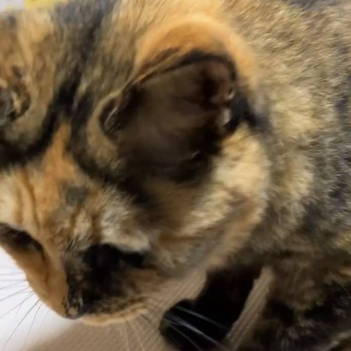 660f99ae 2a3c 426c b072 95d3347bb09e 1729668090710