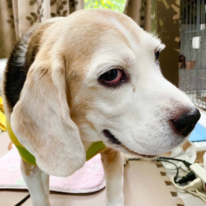 660f9b2f 7510 49c9 b242 7064ae598699 1667101800678