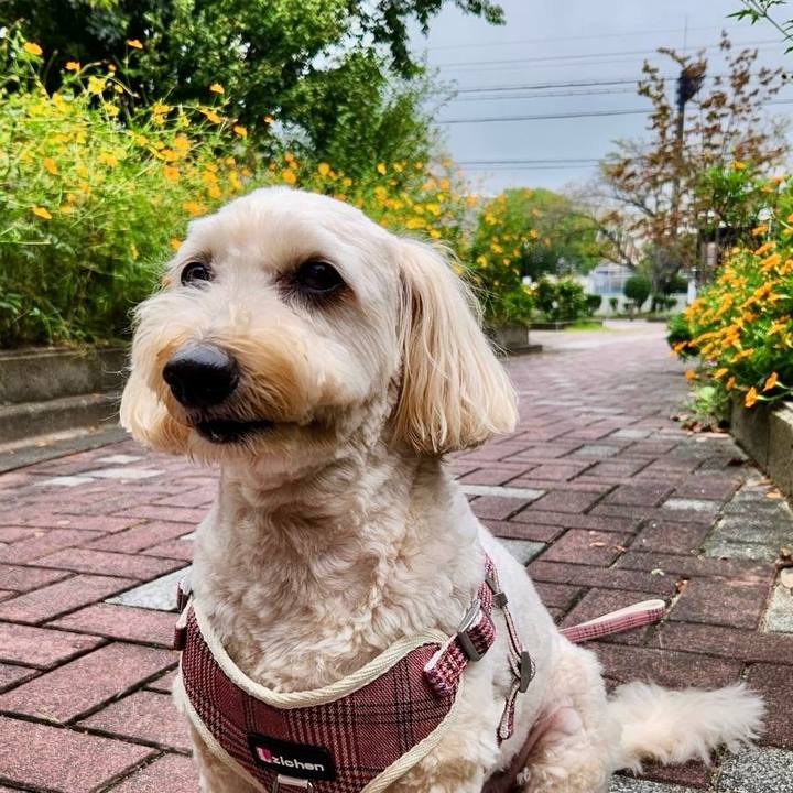 660fce1a aadb 46d5 975d e87eaeacd61f 1760586553150