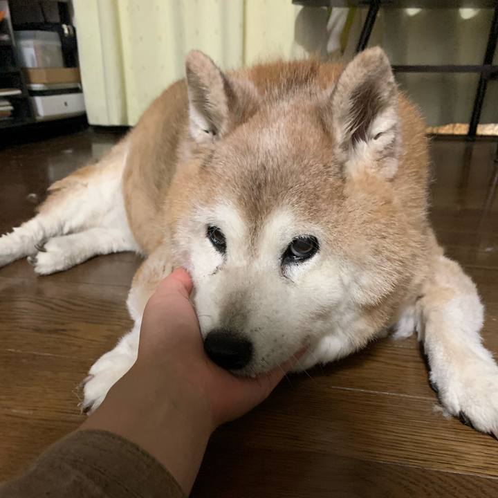 660fd506 afa8 4406 a133 a0c48df02a94 1653995714161