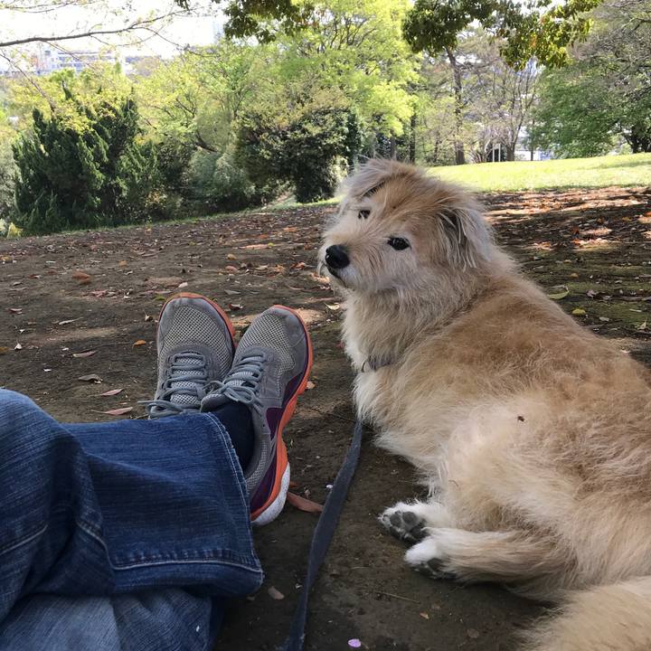 660ff9c6 258f 4a66 b276 7b45ea525e18 1555560049894