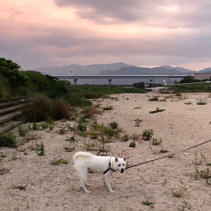 66100804 e8ea 45b1 82d2 ecbb1b591f0e 1591699043507