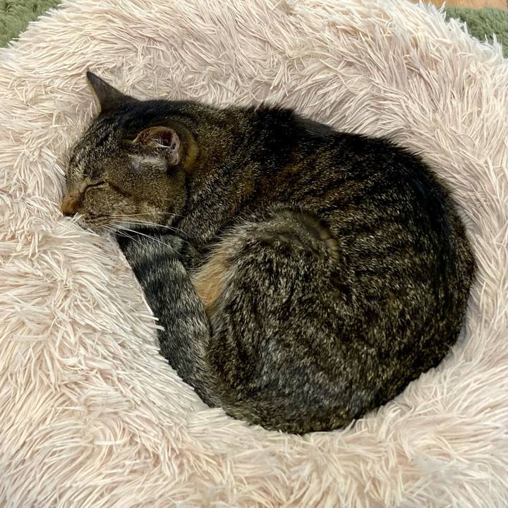 661012a8 e547 4e32 9a16 320b1cb5a64f 1686274678568