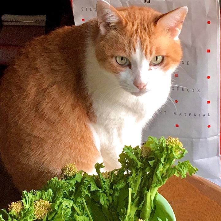 661036e2 c0dc 499a 8c99 fa4c0b9c3e59 1580473707674