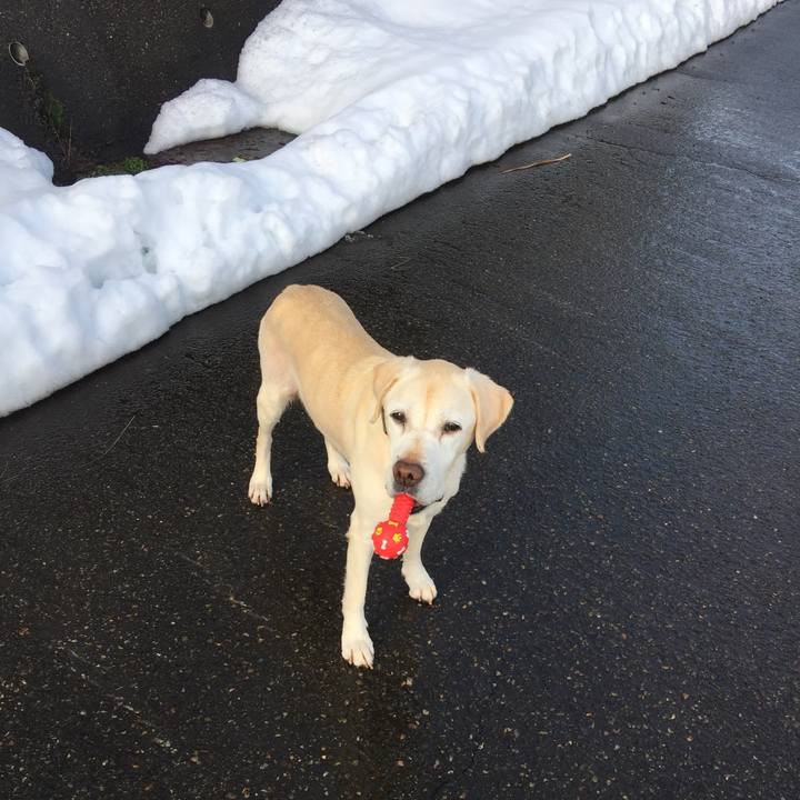 66105213 a757 473f a0df 6343e60bf5a9 1516261322701