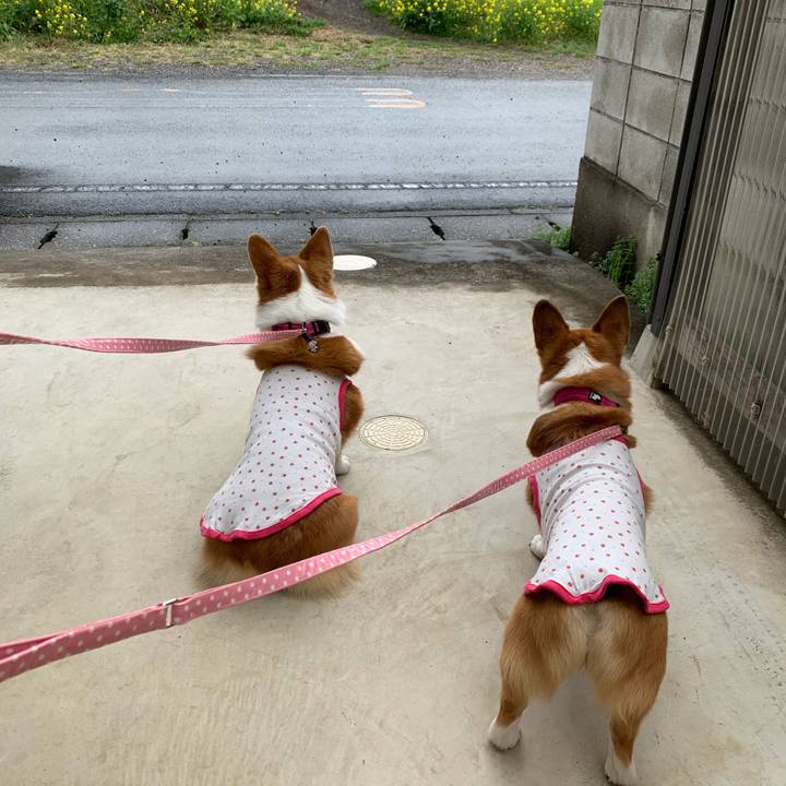 661076ca b1ee 46b4 a683 e53270f69e3a 1617590246732