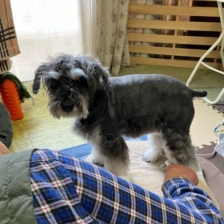 66107e3a dd8c 4bff 8bb4 6f44299e8590 1713012664158